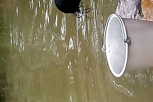 Losbandigheid seks